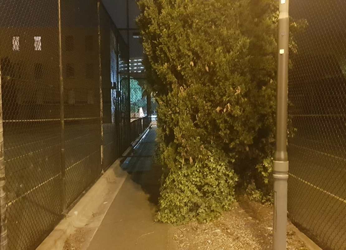dark laneway beside a sports court in a local government area